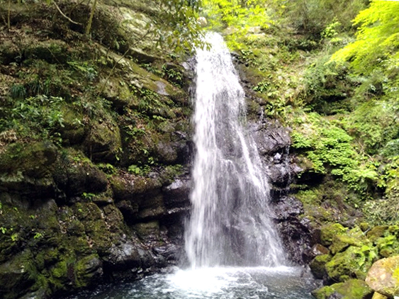 牛滝山の滝